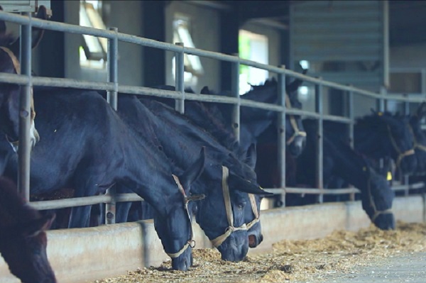 11b76e0de54a473acabdbb3ae71e5d81