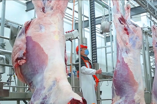 fdade56d51d4dccce5920db68d9614b1 fdade56d51d4dccce5920db68d9614b1